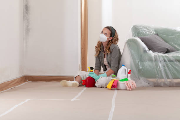 Reliable Mold Remediation contractor in Bremerton, WA by Car Mold Remediation